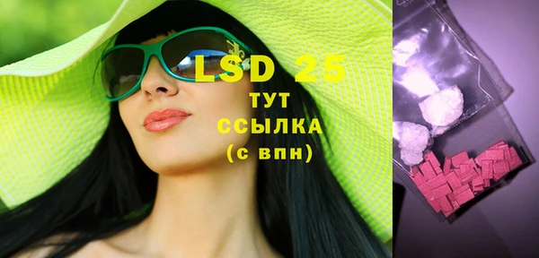 ГАЛЛЮЦИНОГЕННЫЕ ГРИБЫ Абаза