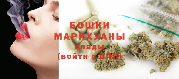 ГАЛЛЮЦИНОГЕННЫЕ ГРИБЫ Абаза
