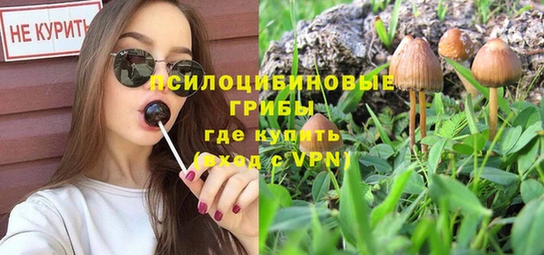 бошки Абинск