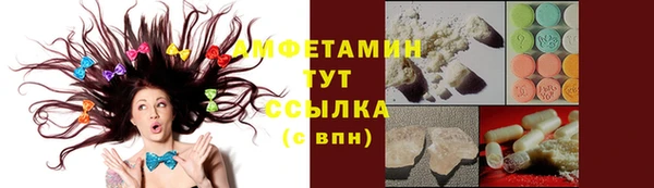 ГАЛЛЮЦИНОГЕННЫЕ ГРИБЫ Абаза