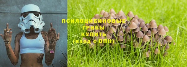 ГАЛЛЮЦИНОГЕННЫЕ ГРИБЫ Абаза