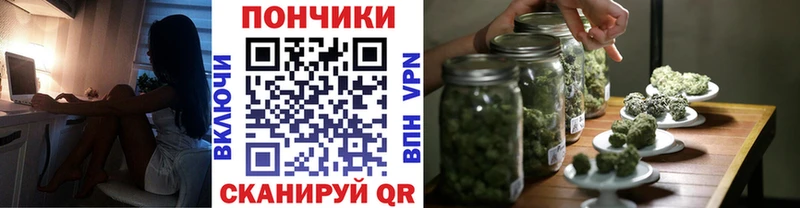 купить закладку  Суздаль  Бошки марихуана конопля 